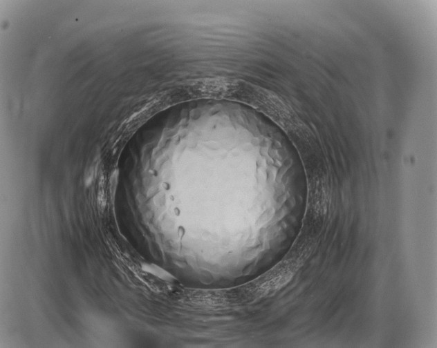X0000087540962200704271228