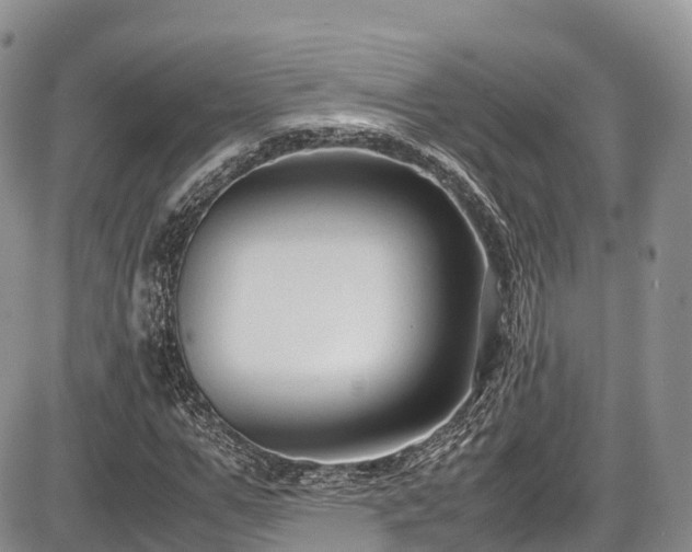 X0000087540967200704271228