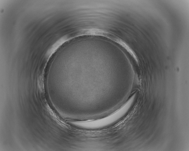 X0000087540972200704271228