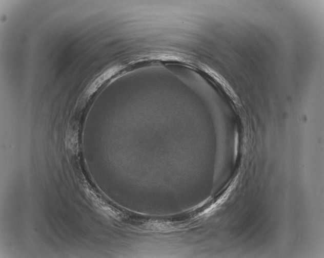 X0000087540977200704271228