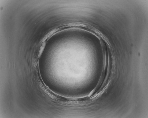 X0000087540985200704271228