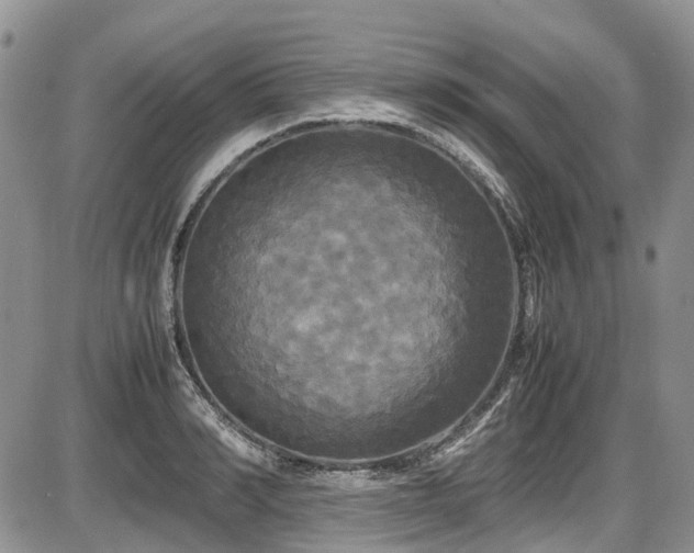 X0000087540990200704271227