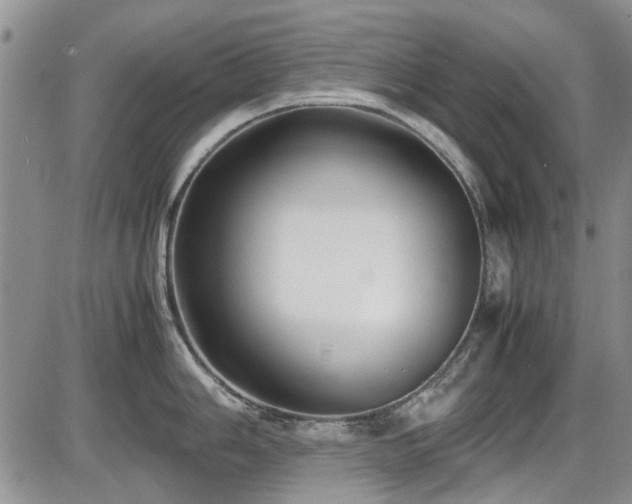 X0000087541006200704271227
