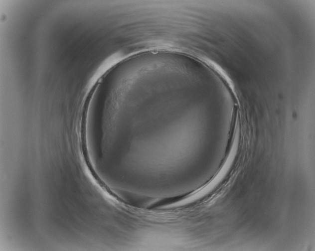 X0000087541007200704271227