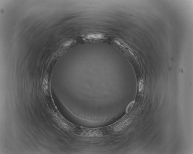 X0000087541011200704271226