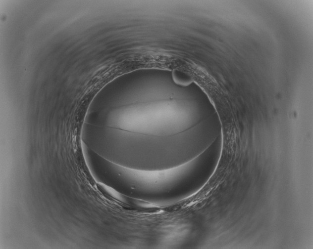X0000087541013200704271226