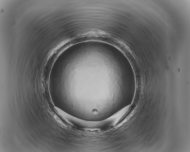 X0000087541018200704271226