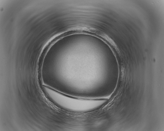 X0000087541020200704271227