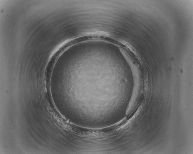 X0000087541022200704271227