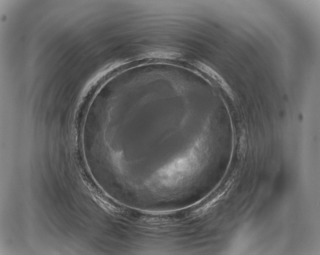 X0000087541027200704271227