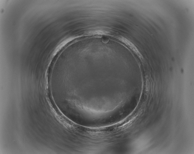 X0000087541031200704271227
