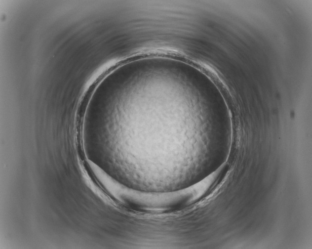 X0000087541038200704271227