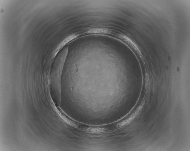 X0000087541041200704271227