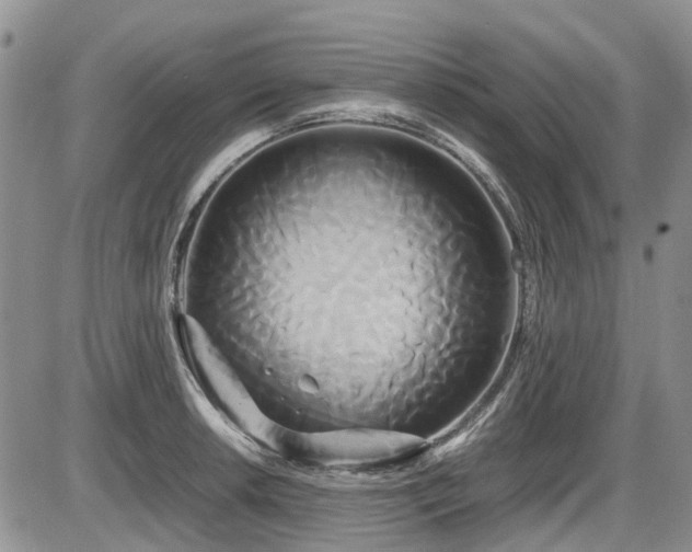 X0000087541042200704271227