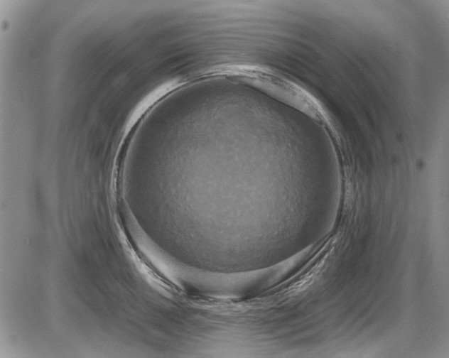 X0000087541050200704271227