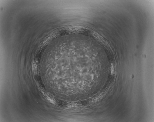 X0000087541059200704271226