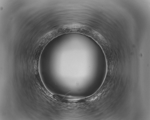 X0000087541062200704271226