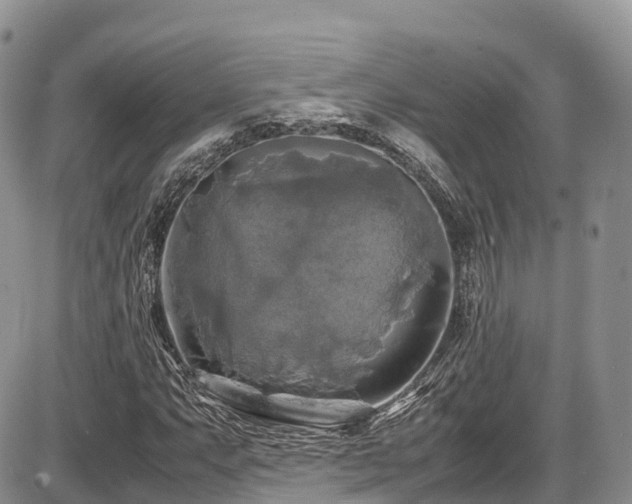 X0000087541063200704271226