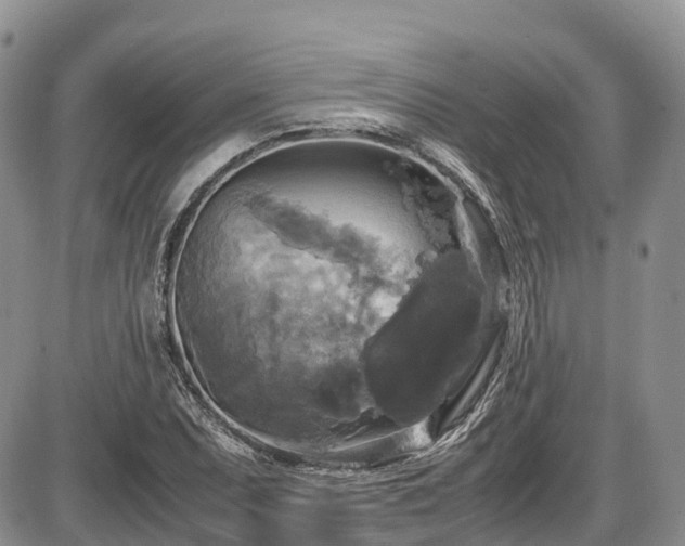X0000087541071200704271226