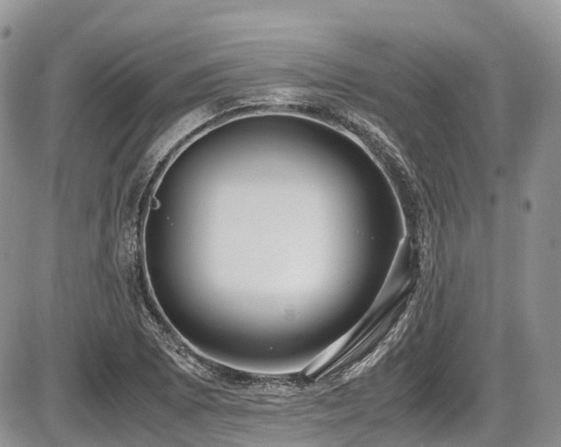 X0000087541073200704271226