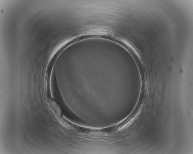 X0000087541077200704271226