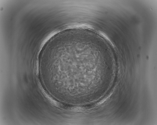 X0000087541079200704271226