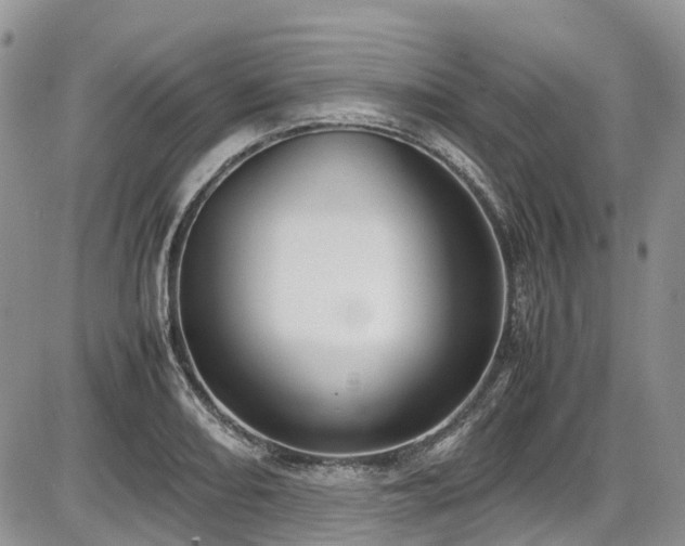 X0000087541082200704271226
