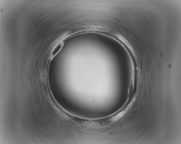 X0000087541089200704271226