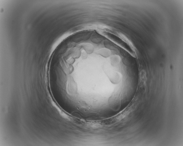 X0000087541103200704271226