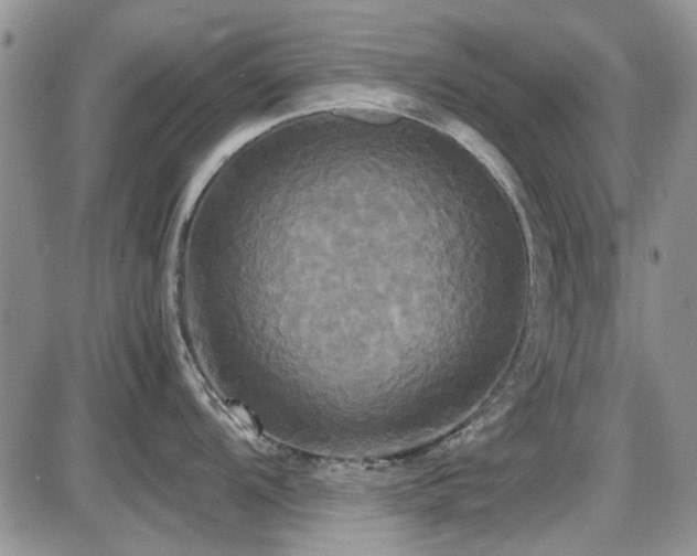 X0000087541104200704271226