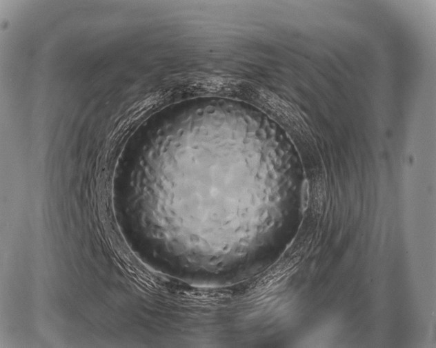 X0000087541105200704271225