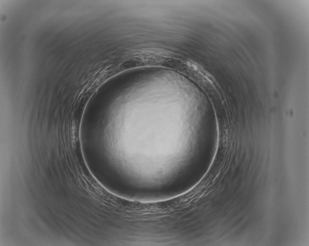X0000087541108200704271225