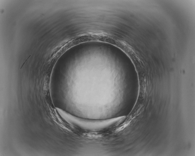 X0000087541110200704271225