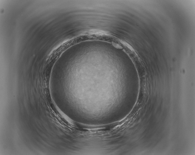 X0000087541112200704271225