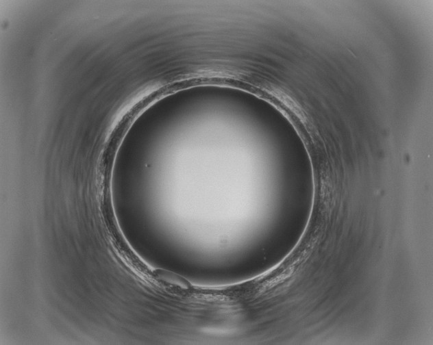 X0000087541119200704271225