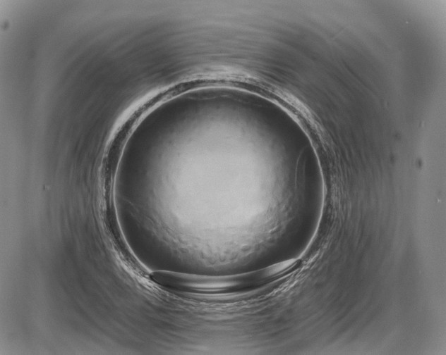 X0000087541120200704271225