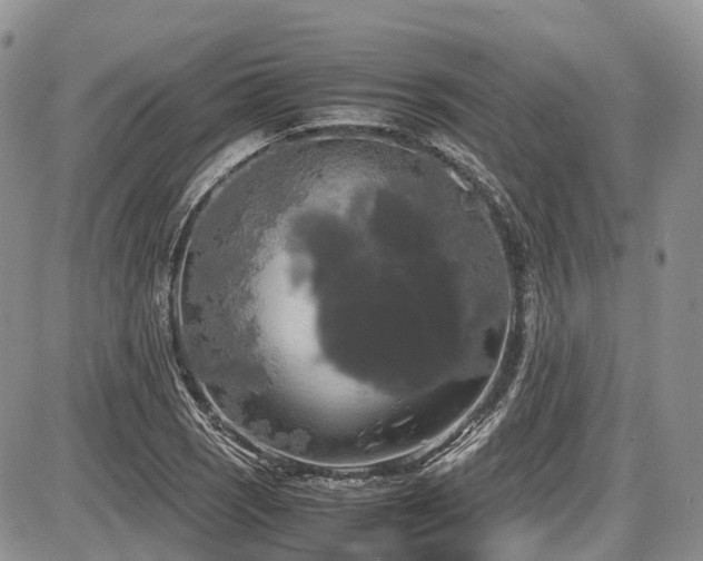 X0000087541121200704271225