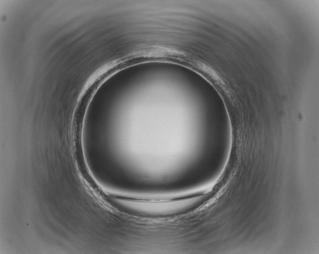 X0000087541122200704271225