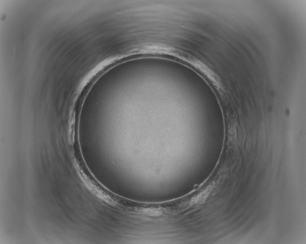 X0000087541126200704271225