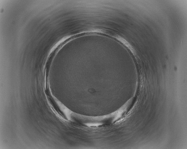 X0000087541127200704271225