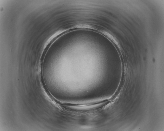 X0000087541133200704271225