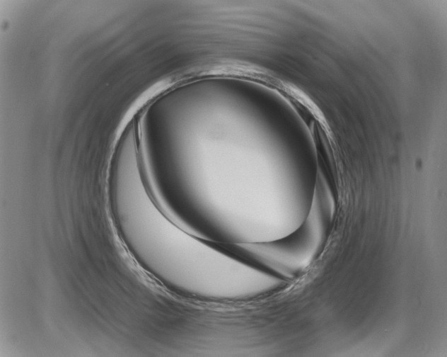 X0000087541138200704271225