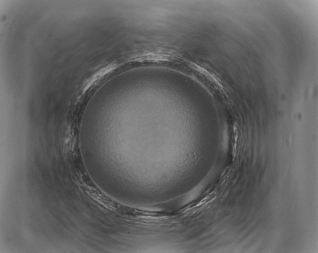 X0000087541160200704271225