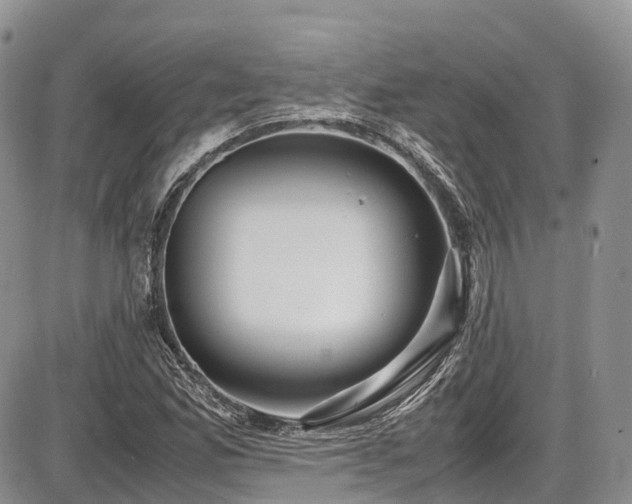 X0000087541165200704271225