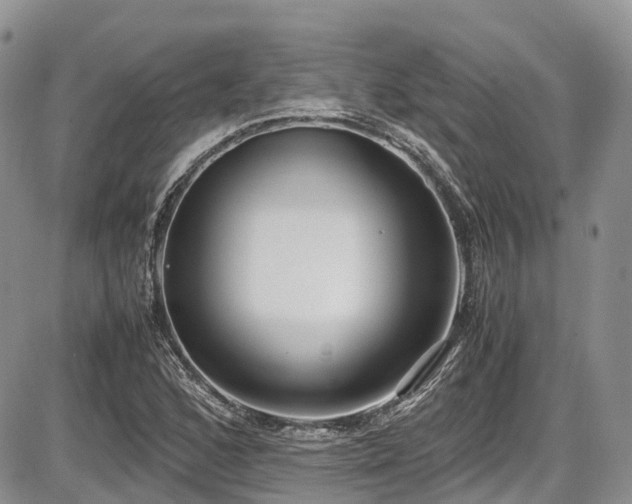 X0000087541168200704271224