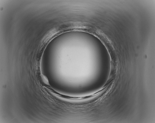 X0000087541169200704271224