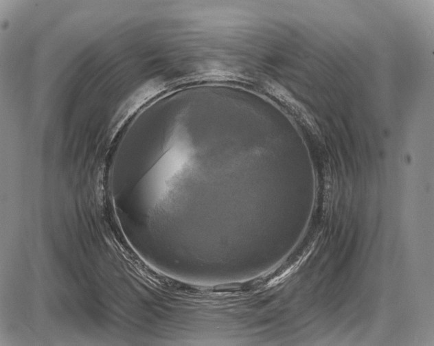 X0000087541170200704271224
