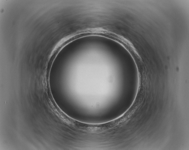 X0000087541176200704271224