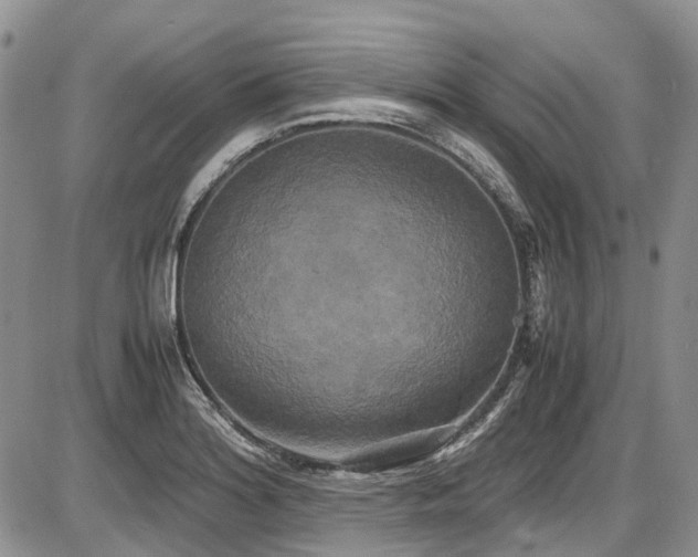 X0000087541180200704271224