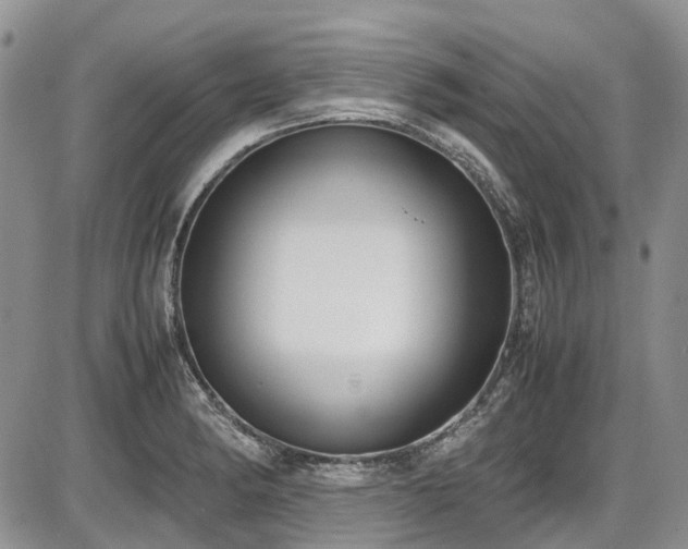 X0000087541182200704271224